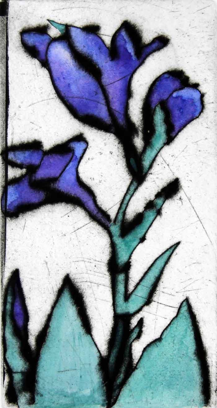 Blue Iris - Limited Edition drypoint and watercolour fine art print by artist Richard Spare