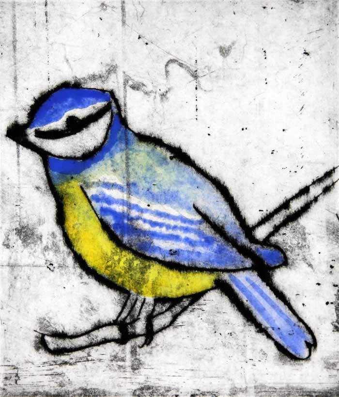 Blue Tit - Limited Edition drypoint and watercolour fine art print by artist Richard Spare