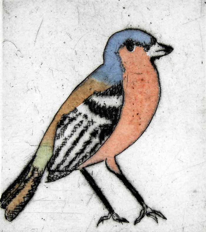 Chaffinch - Limited Edition drypoint and watercolour fine art print by artist Richard Spare