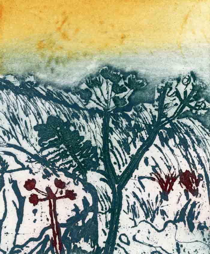 Cornish Landscape - Limited Edition etching fine art print by artist Richard Spare
