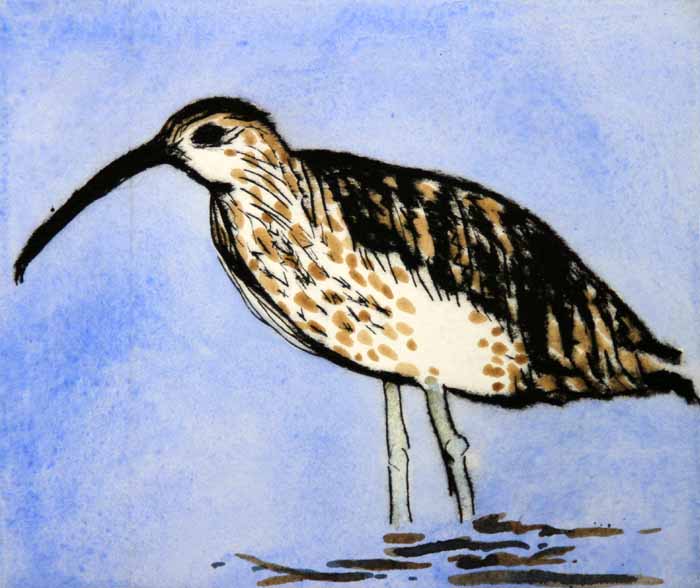 Curlew - Limited Edition drypoint and watercolour fine art print by artist Richard Spare