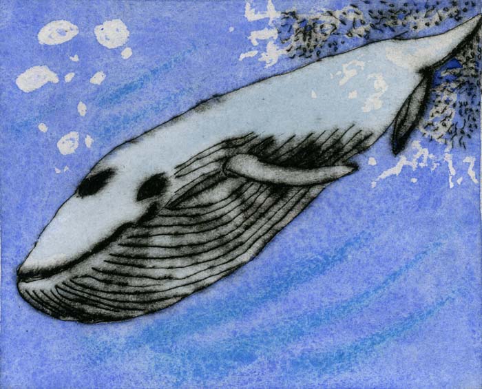 Deep Dive - Limited Edition drypoint and watercolour fine art print by artist Richard Spare