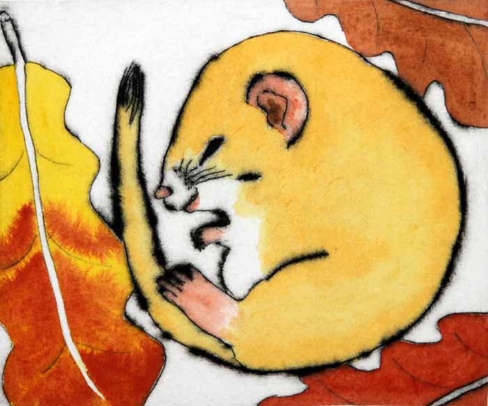 Dreaming Dormouse - Limited Edition drypoint and watercolour fine art print by artist Richard Spare