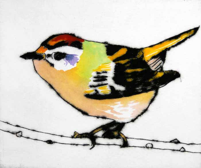 Feisty Firecrest - Limited Edition drypoint and watercolour fine art print by artist Richard Spare