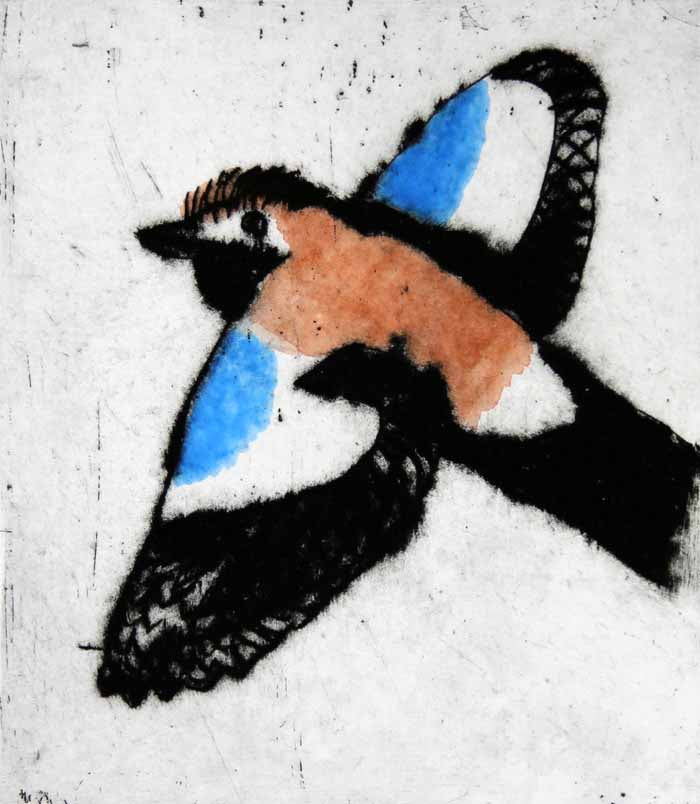 Flying Jay - Limited Edition drypoint and watercolour fine art print by artist Richard Spare
