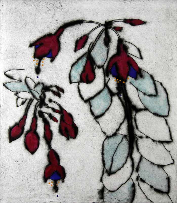 Fuchsia Frond - Limited Edition drypoint and watercolour fine art print by artist Richard Spare