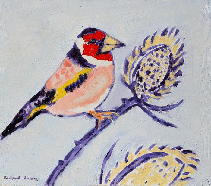 Goldfinch - Original oil on board painting by artist Richard Spare