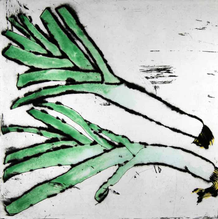 Leeks - Limited Edition drypoint and watercolour fine art print by artist Richard Spare