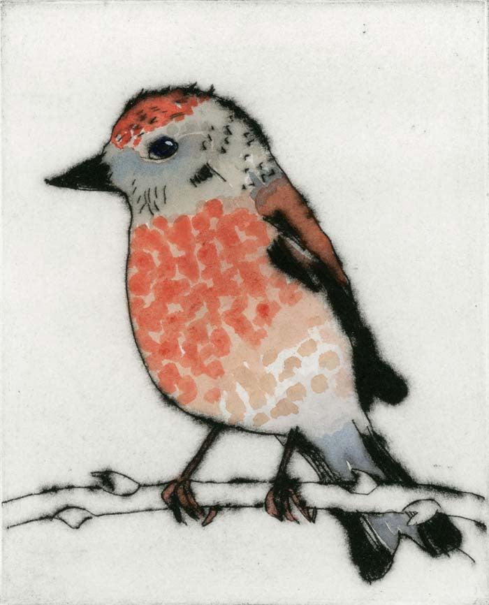 Linnet - Limited Edition drypoint and watercolour fine art print by artist Richard Spare