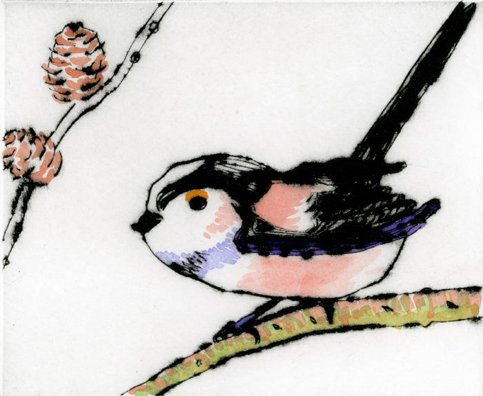 Long Tailed Tit - Limited Edition drypoint and watercolour fine art print by artist Richard Spare
