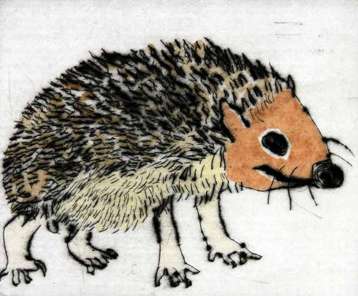 Mr Prickles - Limited Edition drypoint and watercolour fine art print by artist Richard Spare
