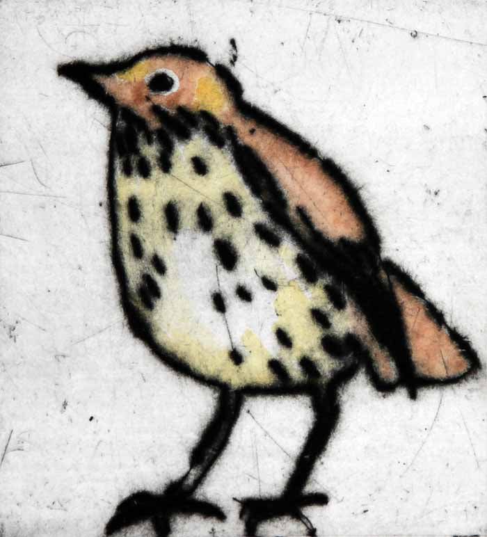 Mr Thrush - Limited Edition drypoint and watercolour fine art print by artist Richard Spare