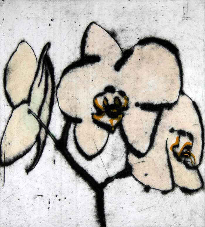 Orchid - Limited Edition drypoint and watercolour fine art print by artist Richard Spare
