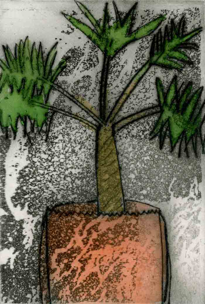 Pot + Palm - Limited Edition drypoint and watercolour fine art print by artist Richard Spare
