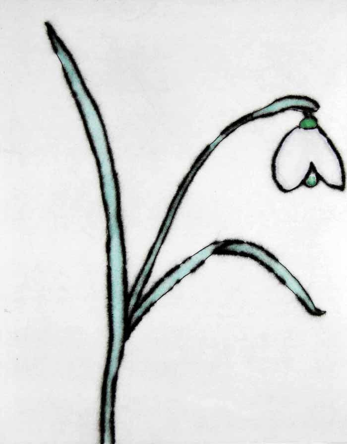 Snowdrop - Limited Edition drypoint and watercolour fine art print by artist Richard Spare