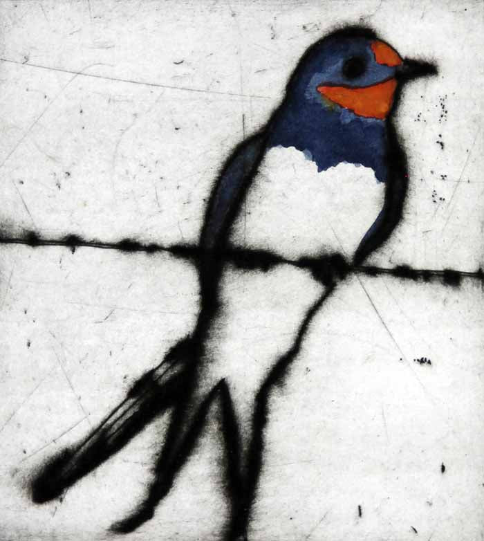 Summer Swallow - Limited Edition drypoint and watercolour fine art print by artist Richard Spare