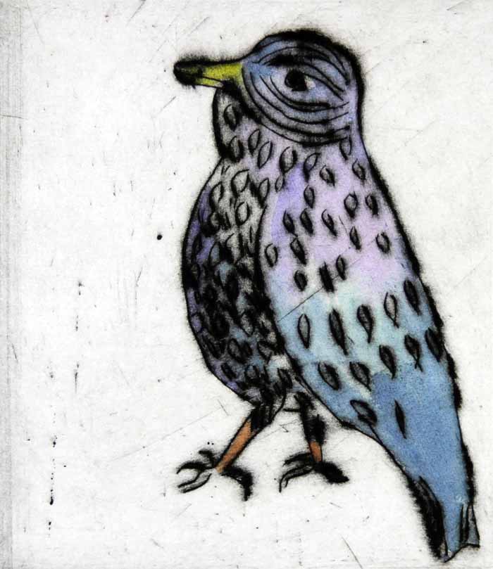 Swaggering Starling - Limited Edition drypoint and watercolour fine art print by artist Richard Spare