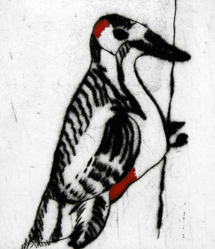 Woodpecker - Limited Edition drypoint and watercolour fine art print by artist Richard Spare